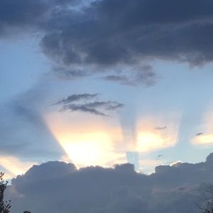 Meet your Posher, Lilly